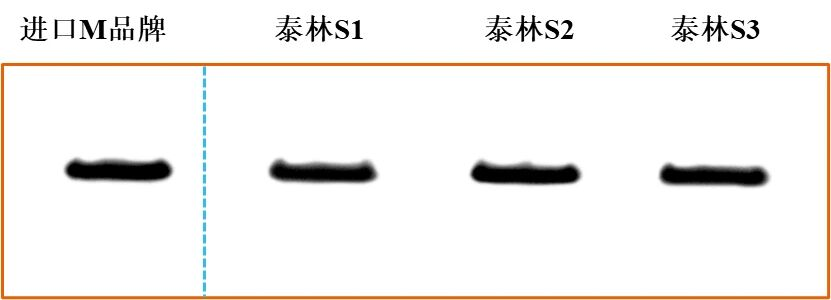 圖片6.png