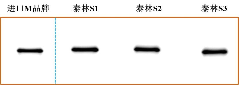 圖片7.png