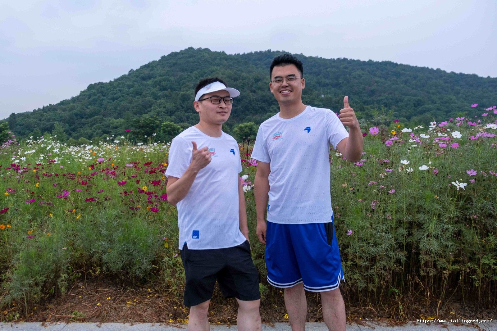 1781687290610884KGyu.jpg